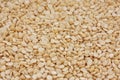 Urad dal Royalty Free Stock Photo