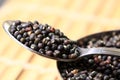 Urad whole lentil macro Royalty Free Stock Photo