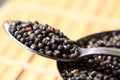 Urad whole lentil macro