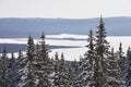 Ural forest. Lake Zyuratkul, winter landscape.