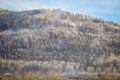 Ural, Ilmensei mountains in the Ilmensky reserve in winter.