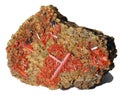 Bright orange crystals of the mineral crocoite Royalty Free Stock Photo
