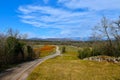 ural road leading across a field at Kras in Primorska, Slovenia