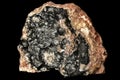 Uraninite var. Pitchblende