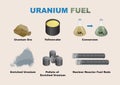 uranium fuel stages illustration