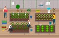 Growers using modern technologies for growing eco plants, distant control at process, farm develop