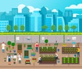 Urban agriculture, city farming, modern technologies, developing farm infrastructure, growing