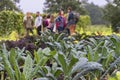 Urban agriculture The Netherlands