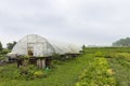 Urban agriculture The Netherlands