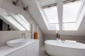 Urban apartment - bathroom on the attic