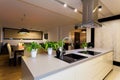 Urban apartment - kitchen counter