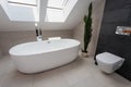 Urban apartment - luxury bathroom Royalty Free Stock Photo