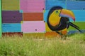 Urban art. colorful toucan