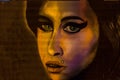 Urban art graffiti by amy winehouse Royalty Free Stock Photo