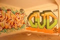 URBAN ART IN THE OLD ABANDONED MANOR 2