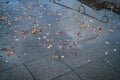 Urban autumn background with fallen leaves on wet pavement in a city