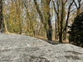 urban autumn landscape: the last leaves on the trees