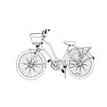 Urban bicycle, hand drawn graphic, line art