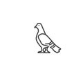 Urban and city element icon - dove, pigeon in trendy simple line art style