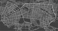 Urban city map of Mashhad. Vector poster. Grayscale street map