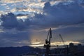 Urban city sunset, crane and seagull in fly