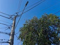 Urban contrast between electrical wiring and a tree Royalty Free Stock Photo