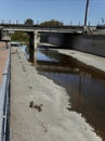 Urban creek or sewage channel