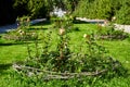 Urban design flowerbed with roses. Multi-colored flowers and a path with a green lawn Royalty Free Stock Photo