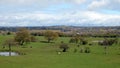 Urban Encroachment on Green Belt Land Royalty Free Stock Photo