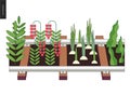 Urban farming and gardening on the rails