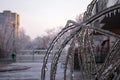Urban flora branches bent and covered with icicles, glowing in the sunset light. Urban Winter setting freezing rain Royalty Free Stock Photo