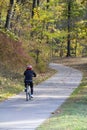 Urban Forest in Michigan Fall