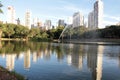 Urban forest park with lake and fountains with city in the background Royalty Free Stock Photo