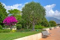 Urban garden in Monte Carlo.