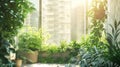 Urban gardening involves growing green plants in city apartments. Royalty Free Stock Photo