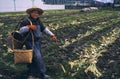 Urban Gardening in Japan