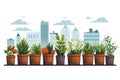 Urban Gardening Rooftop Planters and Green Spaces isolated vector style illustration