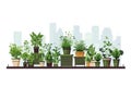 Urban Gardening Rooftop Planters and Green Spaces isolated vector style illustration