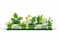 Urban Gardening Rooftop Planters and Green Spaces isolated vector style illustration