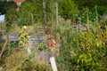 Urban Gardening at Tempelhofer Feld Flughafen Tempelhof in Ber Royalty Free Stock Photo