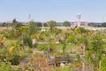 Urban gardening at Tempelhofer field, former airport in Berlin, Germany. Royalty Free Stock Photo