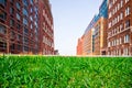 Urban green area with grass and apartments