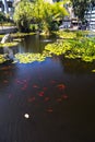 Kiryat Sefer Park in Tel Aviv