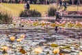 Kiryat Sefer Park in Tel Aviv