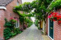 Urban greening in Alkmaar, The Netherlands