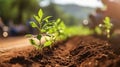 Urban greening project with volunteer planting trees on streets