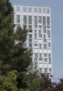 urban greening through tree growth