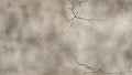 Urban Grit: Seamless Grungy Concrete Texture. AI generate Royalty Free Stock Photo