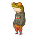 An Urban Guy, isolated vector illustration. Calm anthropomorphic teenage frog wearing a cool street style outfit