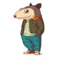 An Urban Guy, isolated vector illustration. Casually dressed opossum person